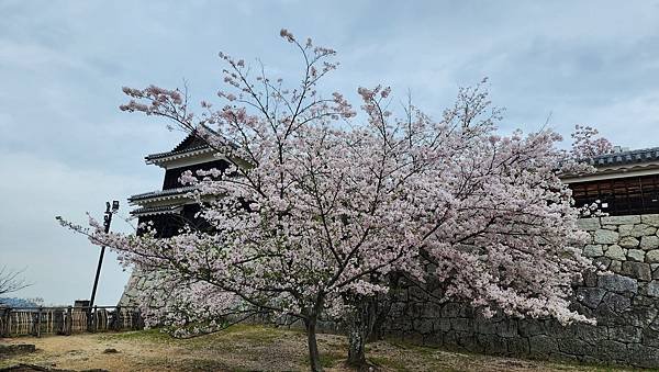 【國外旅行】母女二人跟團。日本四國之旅第三天