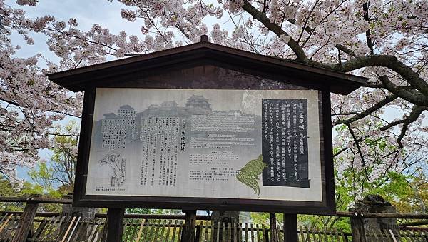 【國外旅行】母女二人跟團。日本四國之旅第三天