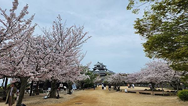 【國外旅行】母女二人跟團。日本四國之旅第三天