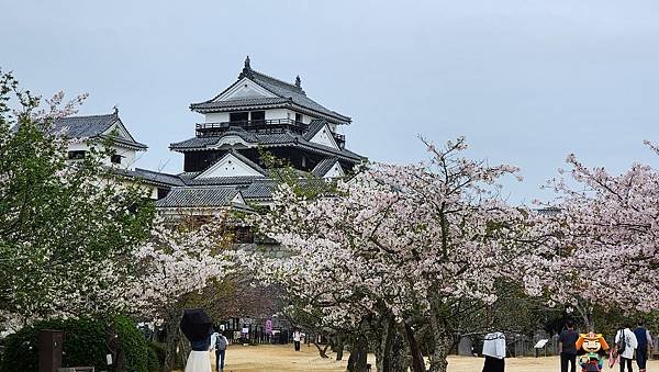 【國外旅行】母女二人跟團。日本四國之旅第三天