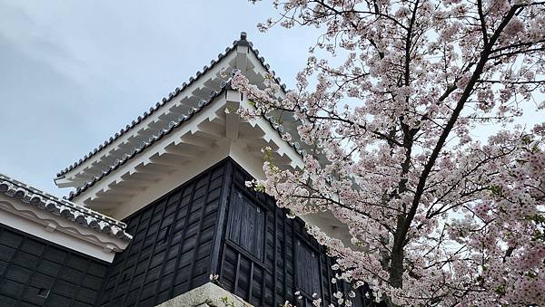 【國外旅行】母女二人跟團。日本四國之旅第三天