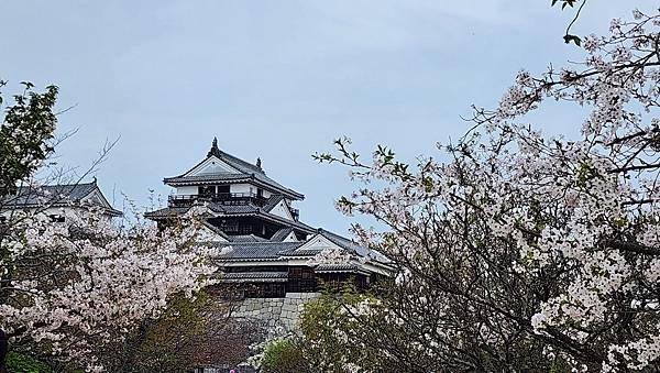 【國外旅行】母女二人跟團。日本四國之旅第三天