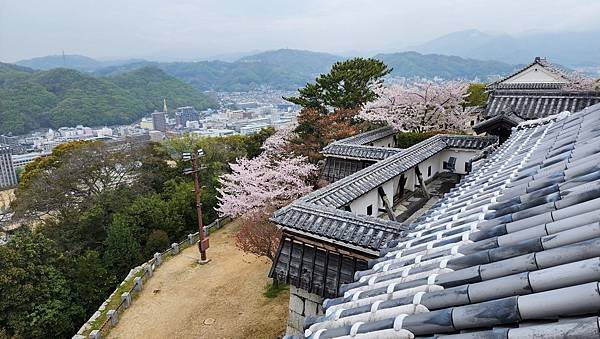 【國外旅行】母女二人跟團。日本四國之旅第三天