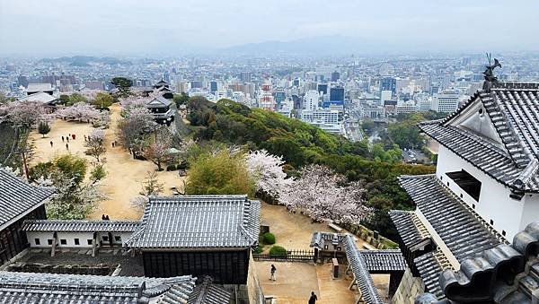 【國外旅行】母女二人跟團。日本四國之旅第三天