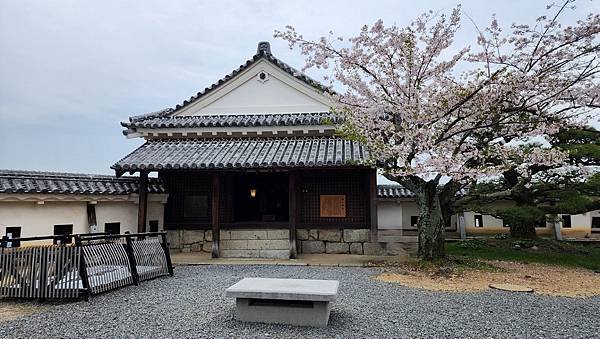 【國外旅行】母女二人跟團。日本四國之旅第三天