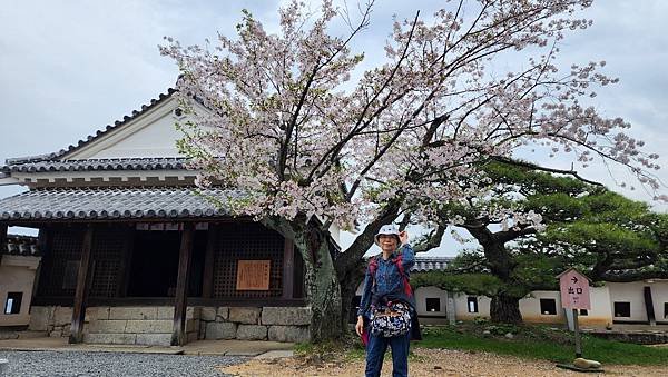 【國外旅行】母女二人跟團。日本四國之旅第三天