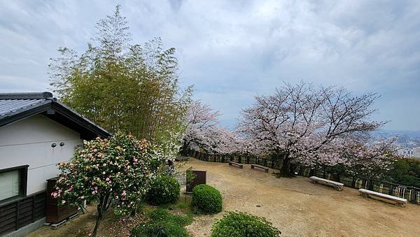 【國外旅行】母女二人跟團。日本四國之旅第三天