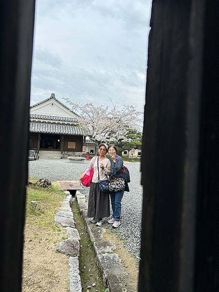 【國外旅行】母女二人跟團。日本四國之旅第三天