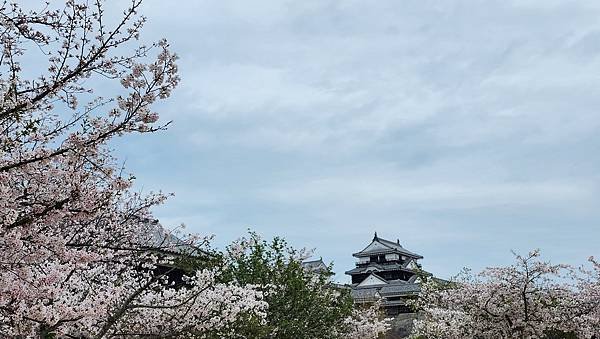 【國外旅行】母女二人跟團。日本四國之旅第三天