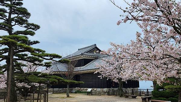 【國外旅行】母女二人跟團。日本四國之旅第三天