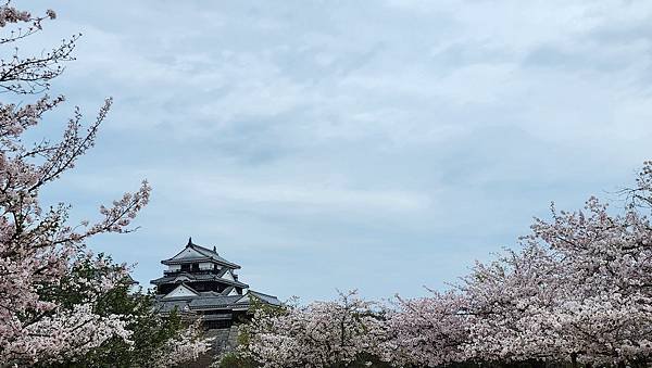 【國外旅行】母女二人跟團。日本四國之旅第三天