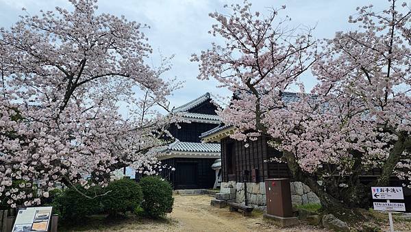 【國外旅行】母女二人跟團。日本四國之旅第三天