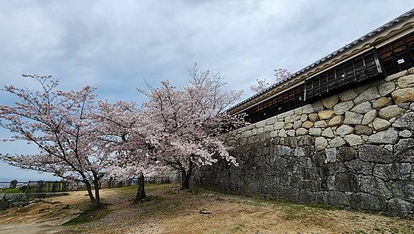 【國外旅行】母女二人跟團。日本四國之旅第三天