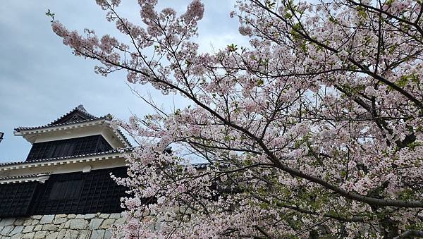 【國外旅行】母女二人跟團。日本四國之旅第三天