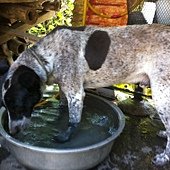 IMG_0415.jpg