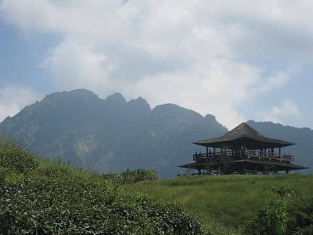 IMG_0775.JPG