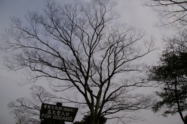 山形藏王 448.jpg