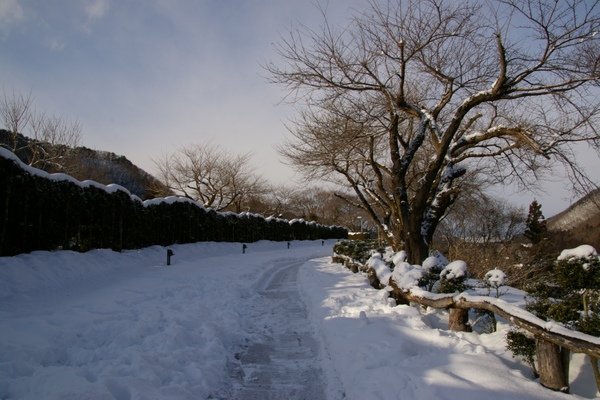 山形藏王 518.jpg