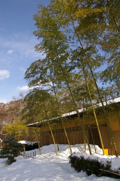 山形藏王 516.jpg