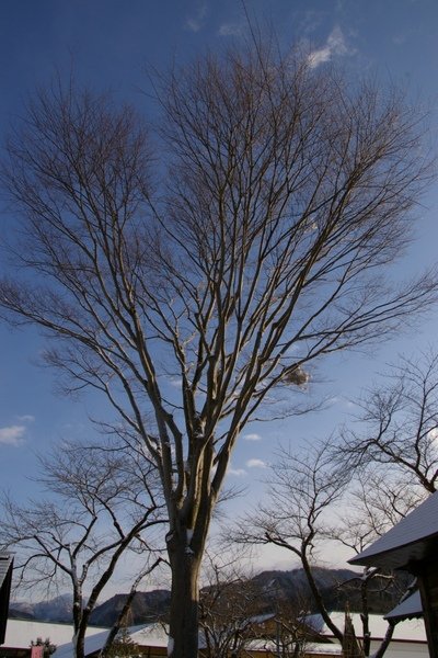 山形藏王 515.jpg