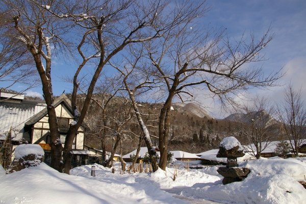 山形藏王 500.jpg