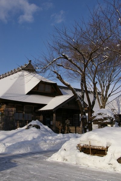 山形藏王 499.jpg