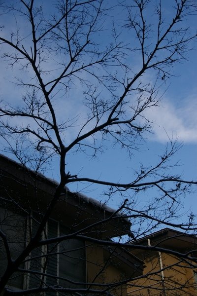 山形藏王 482.jpg