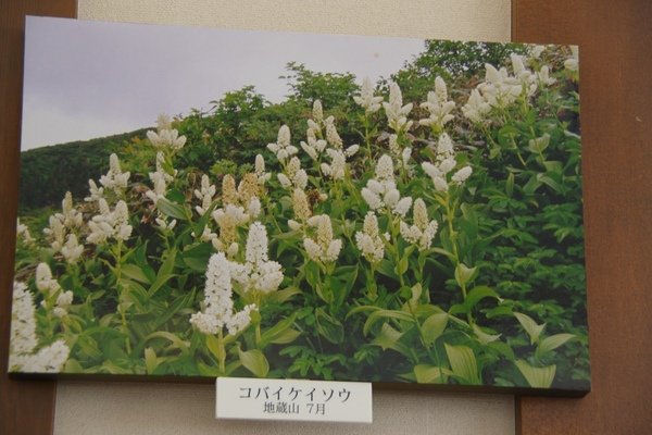 山形藏王 644.jpg