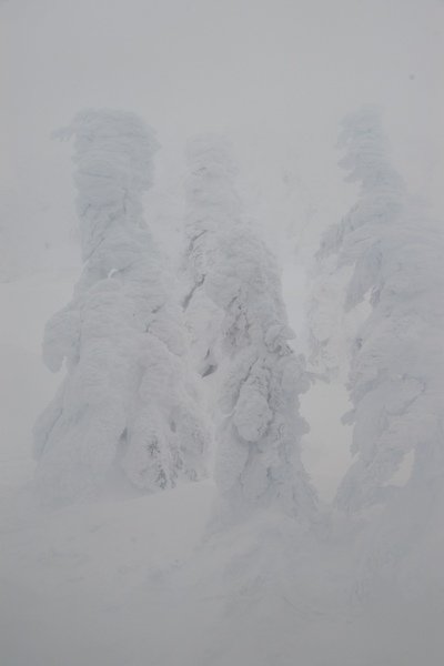 山形藏王 626.jpg