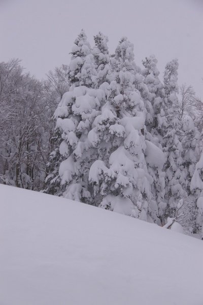 山形藏王 602.jpg