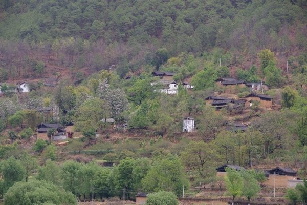雲南.成都 220.jpg