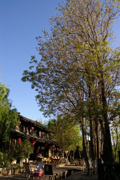 雲南.成都 708.jpg