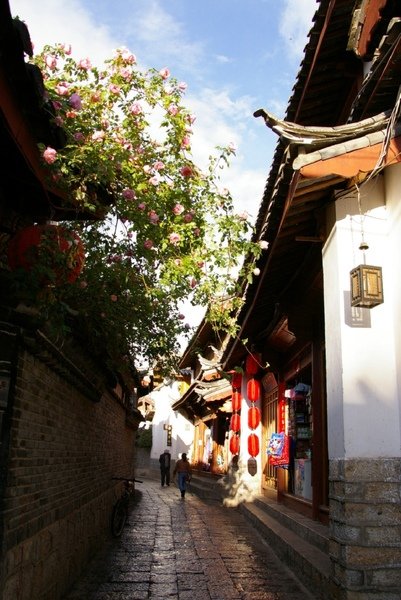 雲南.成都 355.jpg