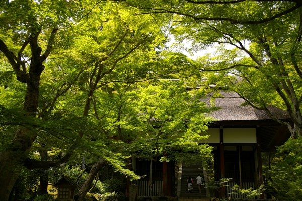夏日京都 436.jpg