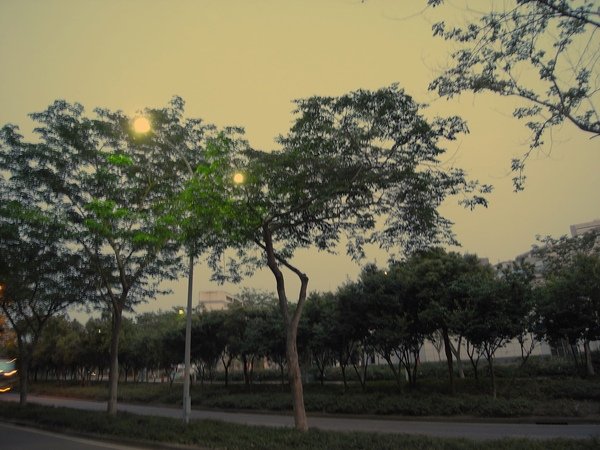 pro.009 001.JPG