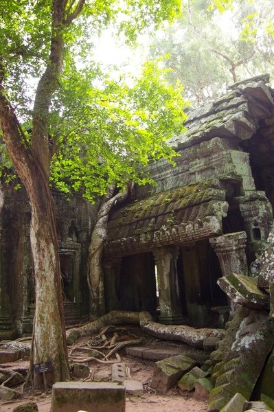 Angkor 696.jpg