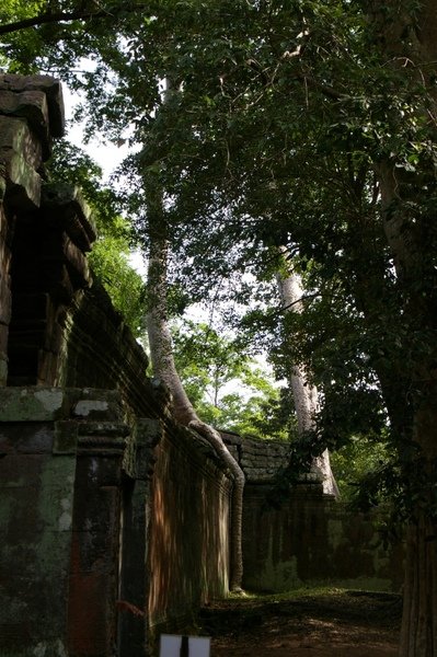 Angkor 691.jpg