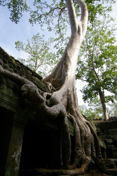 Angkor 680.jpg