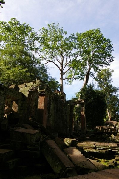 Angkor 646.jpg