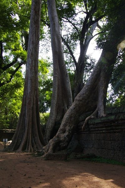 Angkor 643.jpg