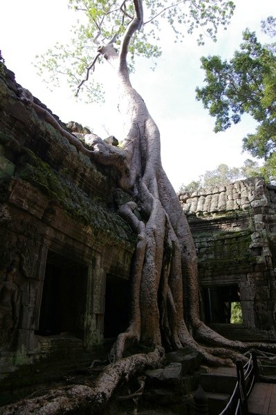 Angkor 626.jpg