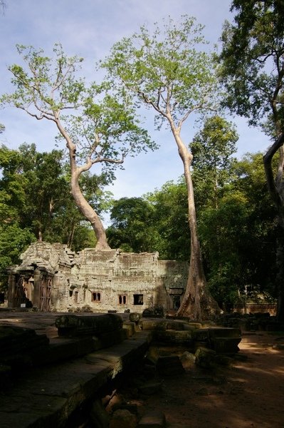 Angkor 616.jpg