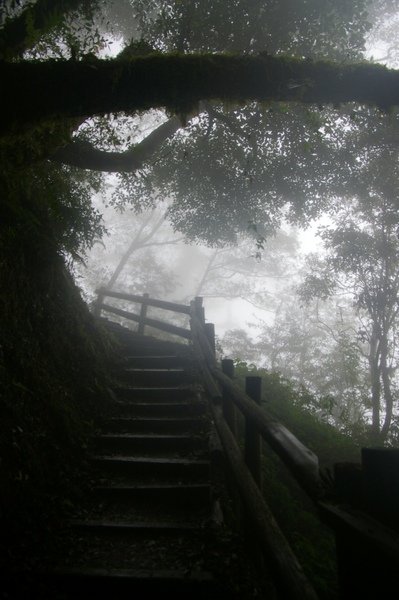觀霧 183.jpg