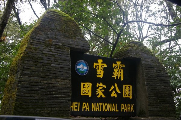 觀霧 132.jpg