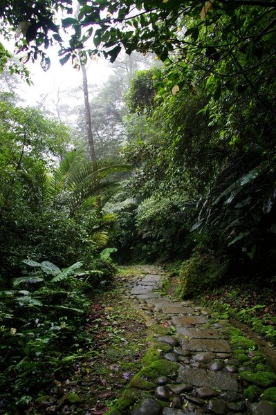 藤坪古道 293.jpg