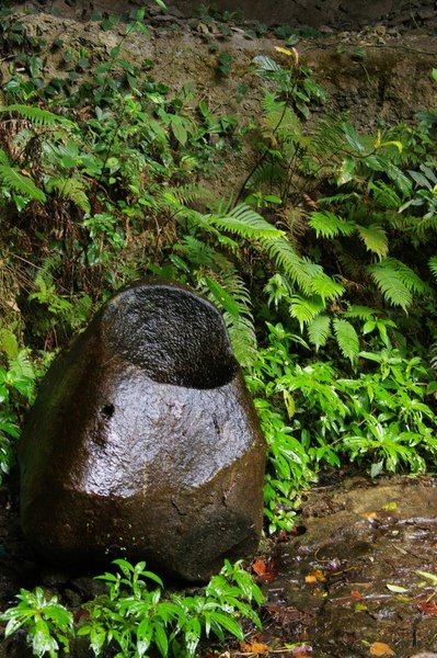 藤坪古道 204.jpg