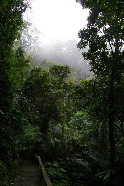 藤坪古道 197.jpg