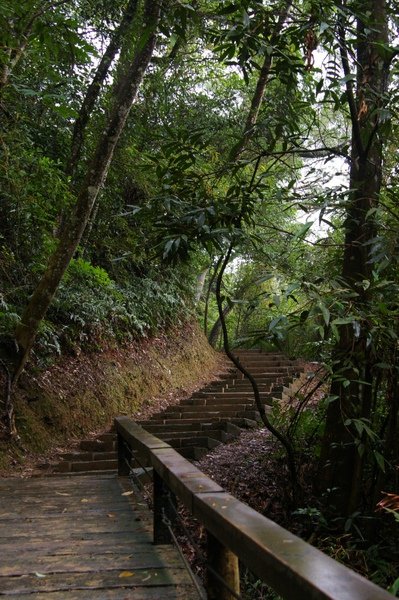 藤坪古道 177.jpg