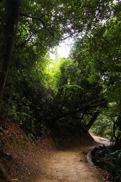 藤坪古道 174.jpg