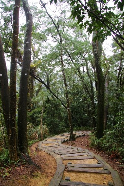 藤坪古道 152.jpg